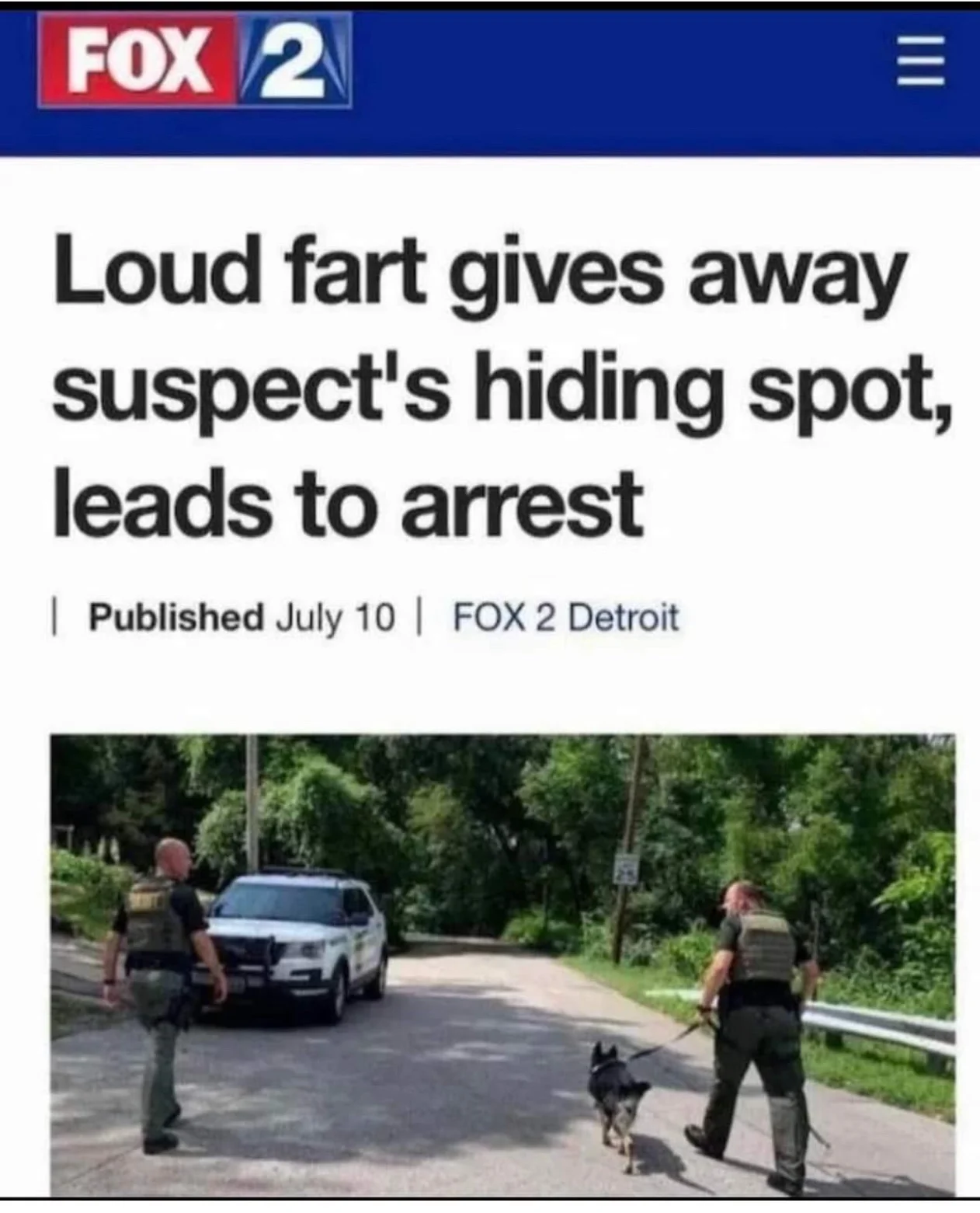 Local Review Image